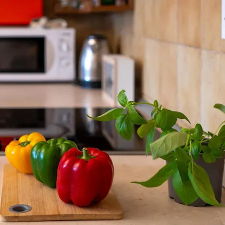 Apartman Spacious 2-bedroom Near Center - Nata *